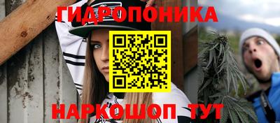 гидра Владивосток
